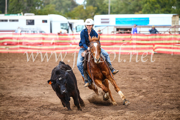 CoonambleRodeoCampdraftSun_3954