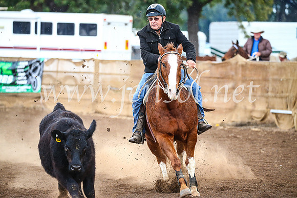 CoonambleRodeoCampdraftSun_3864
