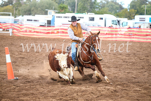 CoonambleRodeoCampdraftSun_3879