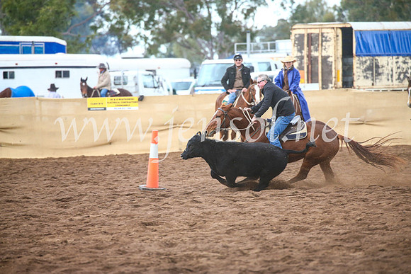 CoonambleRodeoCampdraftSun_3894