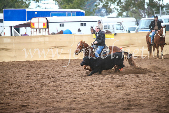 CoonambleRodeoCampdraftSun_3904