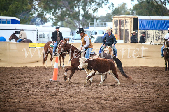 CoonambleRodeoCampdraftSun_3881