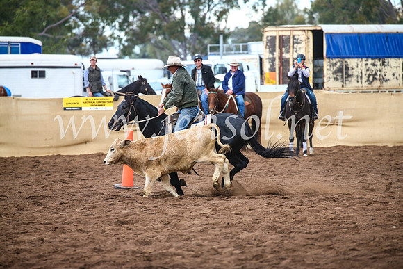 CoonambleRodeoCampdraftSun_3986