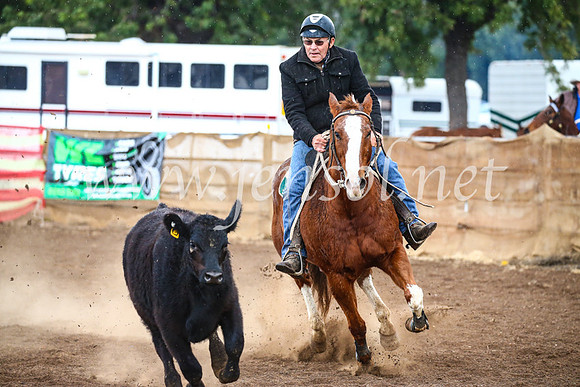 CoonambleRodeoCampdraftSun_3869