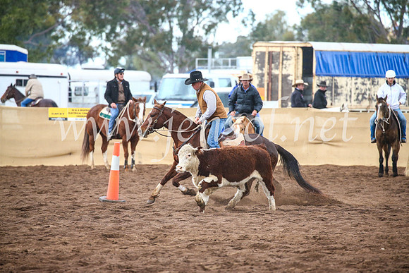 CoonambleRodeoCampdraftSun_3882