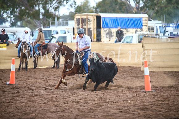 CoonambleRodeoCampdraftSun_3830
