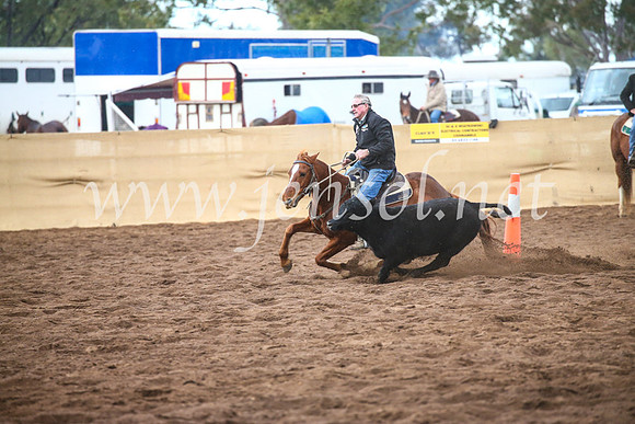CoonambleRodeoCampdraftSun_3901