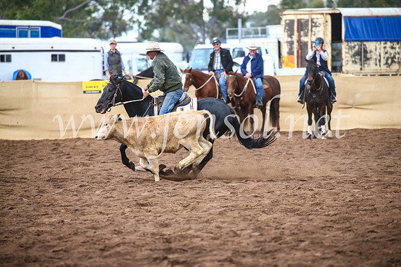 CoonambleRodeoCampdraftSun_3985