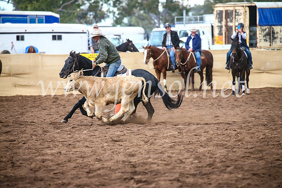CoonambleRodeoCampdraftSun_3984