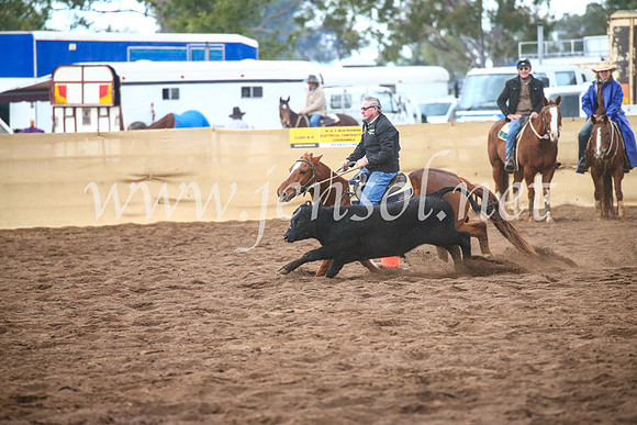 CoonambleRodeoCampdraftSun_3902