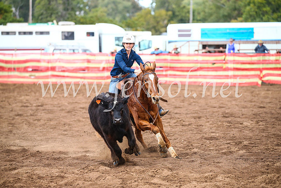 CoonambleRodeoCampdraftSun_3955