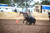 CoonambleRodeoCampdraftSun_3842