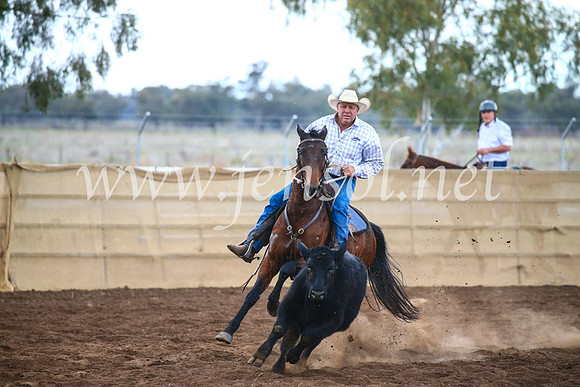 CoonambleRodeoCampdraftSun_3847