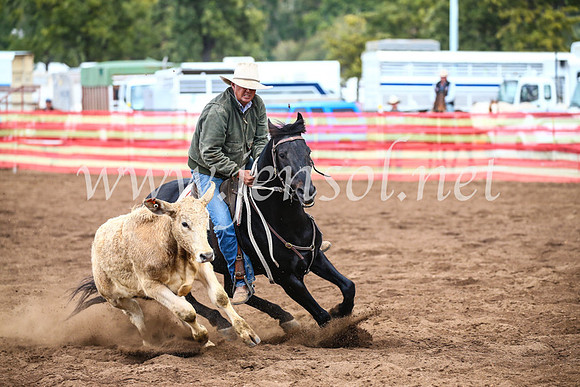 CoonambleRodeoCampdraftSun_3982