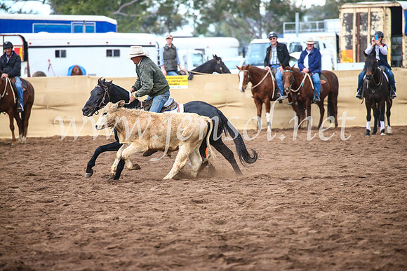 CoonambleRodeoCampdraftSun_3983