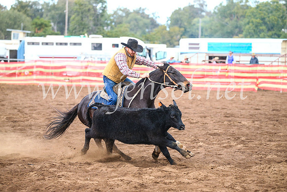 CoonambleRodeoCampdraftSun_3932