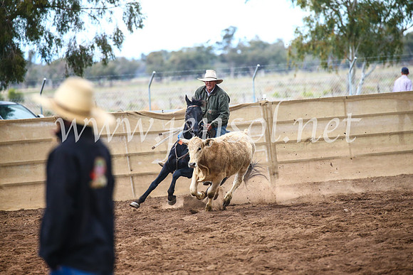 CoonambleRodeoCampdraftSun_3971