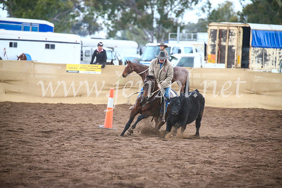 CoonambleRodeoCampdraftSun_3846