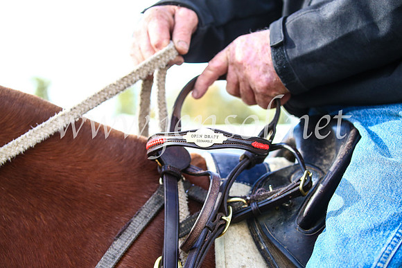 CoonambleRodeoCampdraftSun_4013