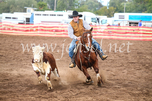 CoonambleRodeoCampdraftSun_3871