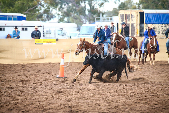 CoonambleRodeoCampdraftSun_3960