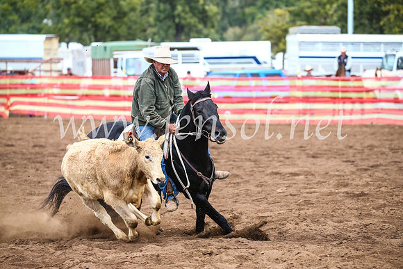 CoonambleRodeoCampdraftSun_3975