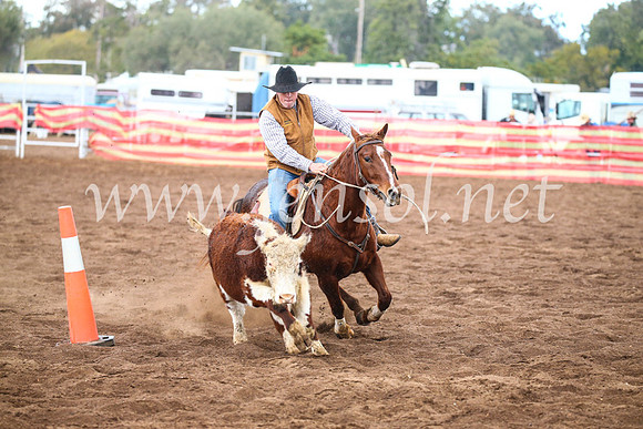 CoonambleRodeoCampdraftSun_3876