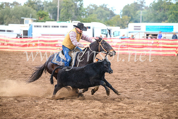 CoonambleRodeoCampdraftSun_3930