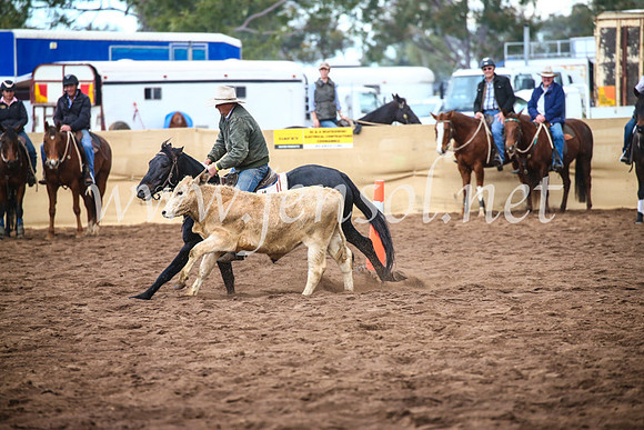 CoonambleRodeoCampdraftSun_3990