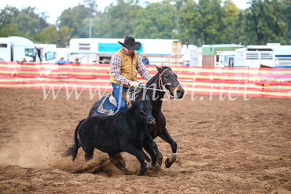 CoonambleRodeoCampdraftSun_3925