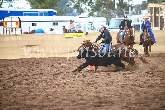 CoonambleRodeoCampdraftSun_3903