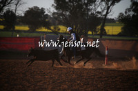 IllaboSun_1071