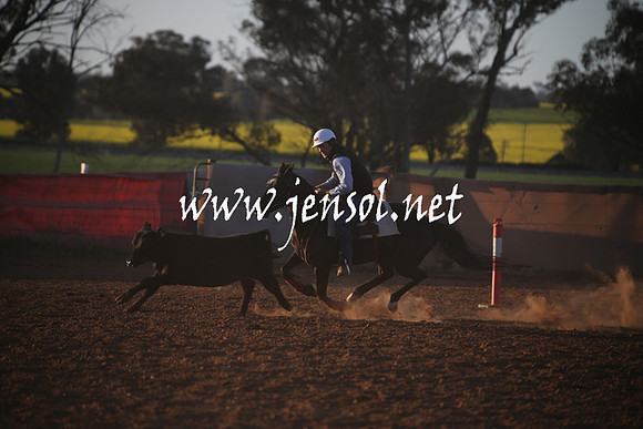 IllaboSun_1071