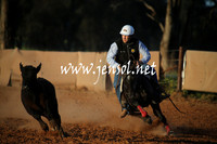 IllaboSun_1068