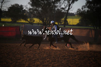 IllaboSun_1070