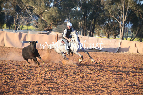 IllaboSun_1082
