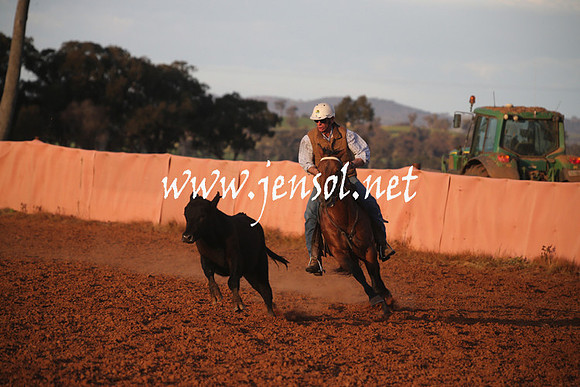 IllaboSun_1078
