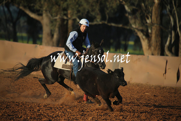 IllaboSun_1063