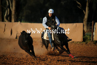 IllaboSun_1065