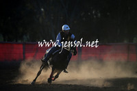 IllaboSun_1062