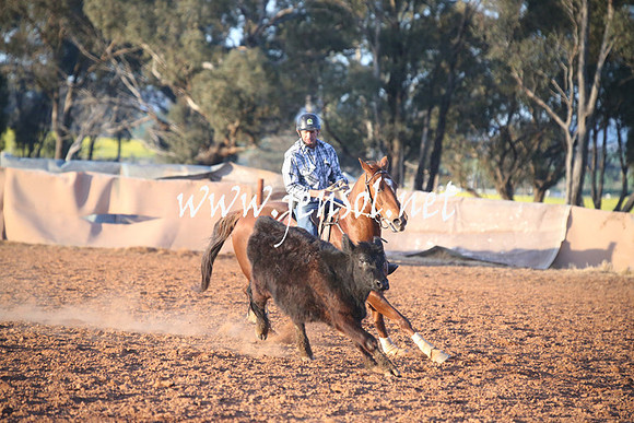 IllaboSun_1079