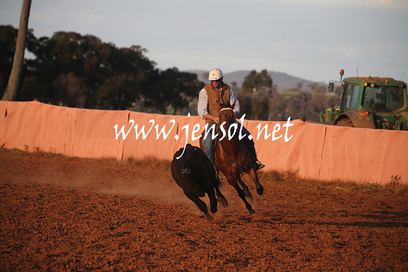 IllaboSun_1075