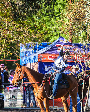 BOTB2019_4212