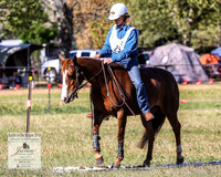 BOB2019_2808