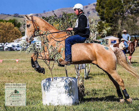 BOB2019_2665