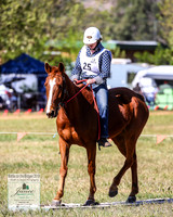 BOB2019_2730