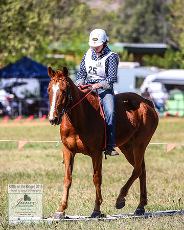 BOB2019_2730