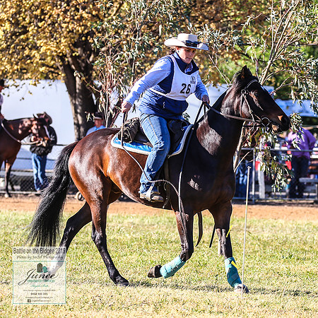 BOTB2019_4266