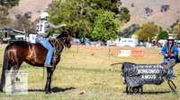 BOB2019_2778