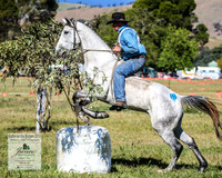 BOB2019_2594